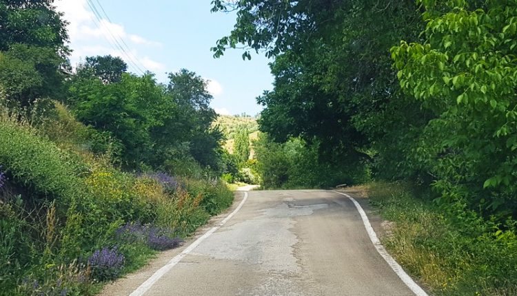 Alucra-Çamoluk Yolu Ne Olacak (5)