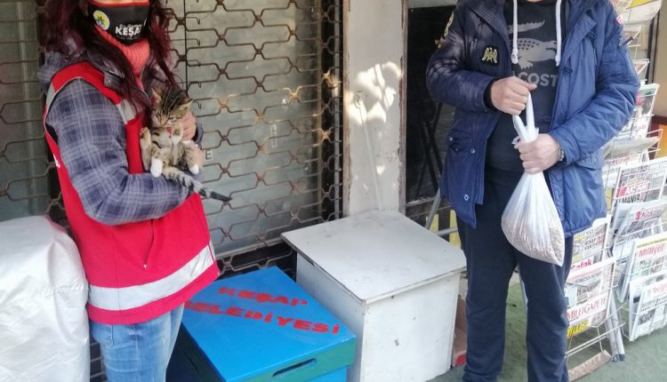 Kediler Bu Kış Üşümeyecekler (1)