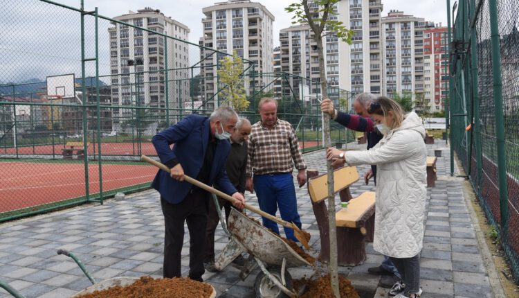 GÖRELE BELEDİYESİ AĞAÇLANDIRMA ÇALIŞMASI (1)