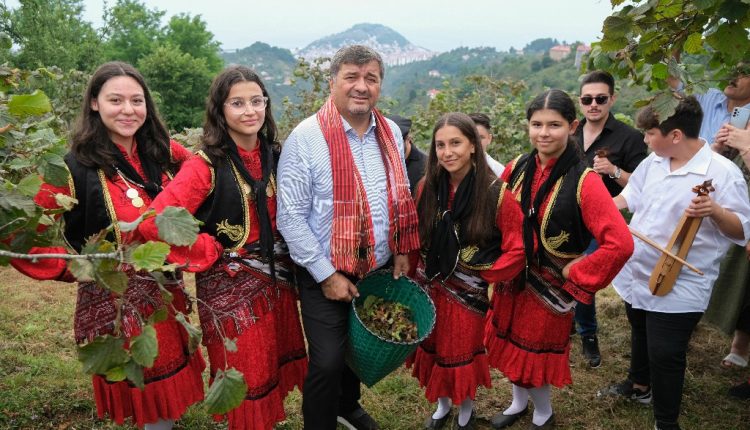 Fındık Hasadı Coşkusu Giresun’da Başladı (4)