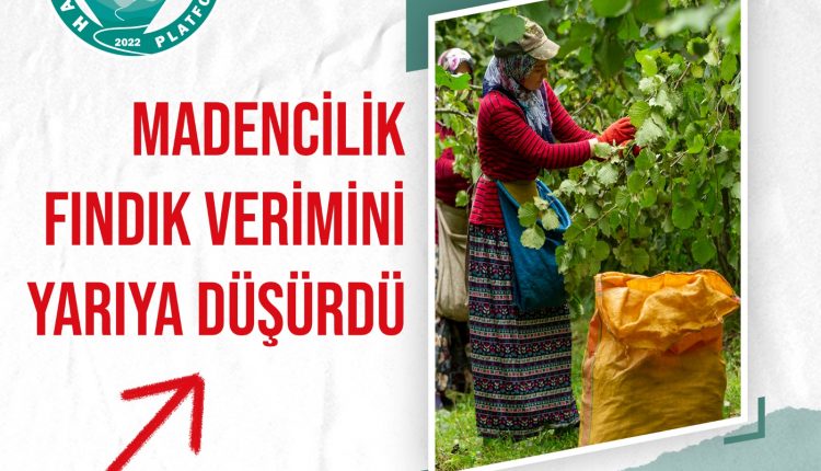 Afişler (4)